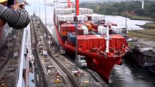 Panama Canal Ship Accident  Towing Mule Crushed [upl. by Harbird]