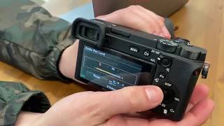 Setting Audio Recording Levels Sony a6600 [upl. by Voccola]