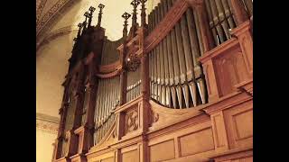 ●HerzJesu Kirche BregenzVorarlberg Behmann Orgel 361 09 November 2024 [upl. by Airtened]