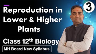 Reproduction in Lower and Higher Plants Class 12th Biology Part 3 [upl. by Depoliti]