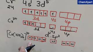 Valence Bond Theory of Coordination Compounds  Chapter 9  Class 12  Chemistry  NCERT  CBSE [upl. by Lyrred746]