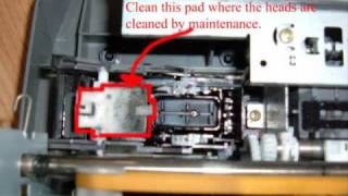 Fix Epson Printer Ink Problem [upl. by Hurley285]