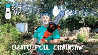 Ozito Pole Chainsaw Review [upl. by Faxon660]