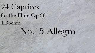 TBöhm24 Caprices For FLUTE No15 Allegro [upl. by Eipper]