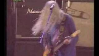 Dinosaur Jr Feel the Pain [upl. by Felita]