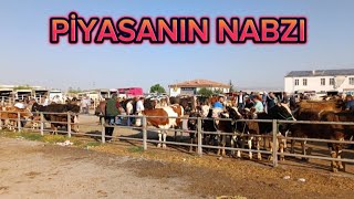 2 BÖLÜM KIRŞEHİR HAYVAN PAZARILİVESTOCK BAZAAR [upl. by Awad296]