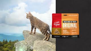 ORIJEN® FreezeDried Cat Treats [upl. by Whipple]