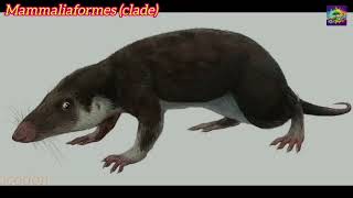 quotThe Paleocene Rise and Evolution of Modern Mammals Ancestorsquot Part 16 [upl. by Akinoj]