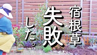 【失敗】春に花が咲かない花壇を作るところでした…｜小さな庭のガーデニング｜宿根草 [upl. by Eiramllij]