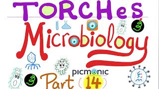 TORCHeS infections  Toxoplasma Others Rubella CMV Herpes HIV Syphilis  Picmonic Micro 14 [upl. by Akram77]