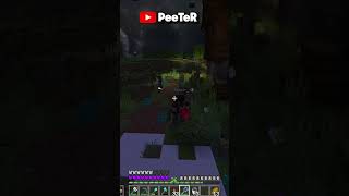 BONK pe Breasla Haiducilor minecraft peeter shorts [upl. by Hillhouse57]