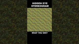 Eye exercise 26 hiddeneye stereogram magiceye eyestrain stereoscopic illusion magiceye [upl. by Nnylhsa]