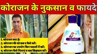 कोराजन कीटनाशक की पूरी जानकारी।। coragen insecticide।। FMC Coragen ।। Orginal Coragen ।। कोराजन।। [upl. by Drusilla]