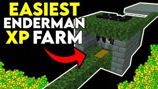 The EASIEST Enderman Farm Minecraft 120 [upl. by Ateikan911]