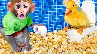 Monkey Baby Bon Bon Bathes with Duckling in the bathtub  funny animals [upl. by Ennayt282]