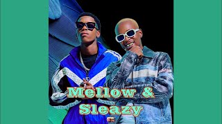 Mellow and Sleazy  Oupa Manyisa feat LeeMckrazy Miano Jayden laa [upl. by Pelag231]