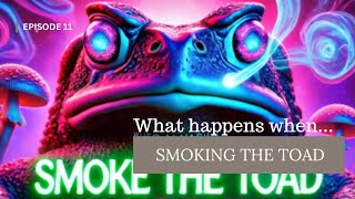 What happens when you smoke the toad 5 MEODMT quotthe god moleculequot will dissolve your Ego [upl. by Littman]