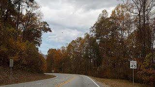 North GA Fall Colors  Mountain Drive  Leaves  ASMR [upl. by Eseerehc]