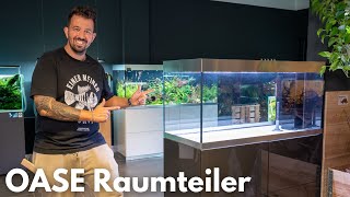 Oase HighLine 300 OptiWhite Raumteiler Aquarium Setup [upl. by Amend]