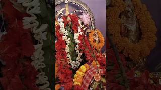 Jagadhatri Puja Vidhi 2024 at Home 🌺shortsjagadhatriapujajagadhatripuja2024youtubeshortsviral [upl. by Dronel]