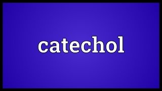 Catechol Meaning [upl. by Lander827]