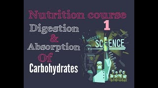 Biochemistry Nutrition course lecture  1   carbohydrates digestion  absorption [upl. by Evars469]