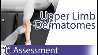 Dermatomes Upper Limb  Peripheral Neurological Examination [upl. by Karmen]