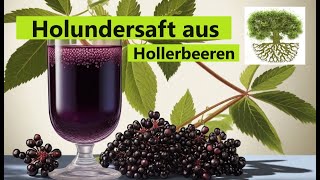 Holundersaft selber machen aus Holunderbeeren  Naturrezept mit vielen Antioxidantien [upl. by Kline]