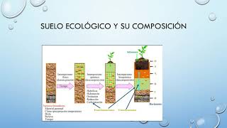 Interrelación de los componentes bióticos y abióticos del agroecosistema [upl. by Ecila12]