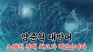 대방어로 대한민국 1위 했습니다 ｜ 양준혁 대방어 노량진 경매 1위 한 날 [upl. by Llenrac]