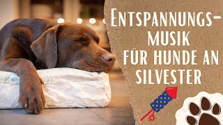 Hunde Entspannungsmusik Silvester  Beruhigende Musik für ängstliche Hunde [upl. by Cressida]