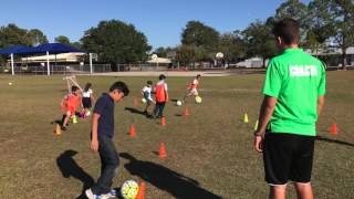 Boggy Creek Elementary 2016 [upl. by Sehguh]