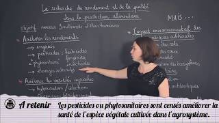 Rendement amp qualité de la production alimentaire  SVT  Les Bons Profs [upl. by Lorenza842]