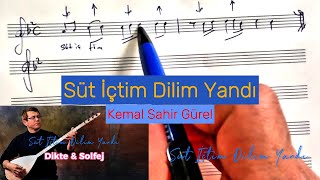 SÜT İÇTİM DİLİM YANDI  SOLFEJ [upl. by Meuser]