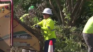 CenterPoint crews removing high risk vegetation from Acres Home neighborhood [upl. by Schaaff]