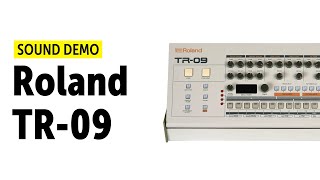 Roland TR09 Demo  Hidden Parameters [upl. by Macdougall518]