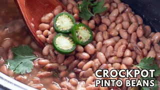 Learn How to Make the Best Vegan Pinto Beans in the Crockpot [upl. by Anitsenre110]