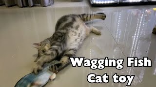 Wagging Fish Cat toy [upl. by Burger]