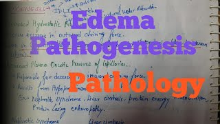 Edema Pathogenesis [upl. by Nale]