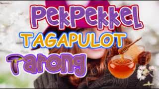 TARONG  ILOCANO SONG VIDEO [upl. by Younger80]