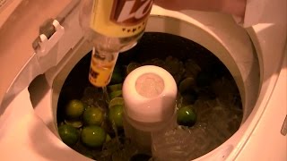 Caipirinha na Máquina de Lavar [upl. by Schilit]