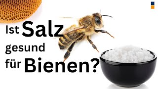 Warum mögen Bienen und andere Insekten Salz im Wasser und Nektar Beeinflusst es die Blütenwahl [upl. by Aleakim]