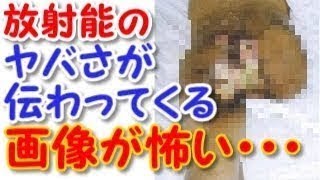 【閲覧注意】 東海村JCO臨界事故 放射能の恐怖 ずさんな管理が招いた悲劇 【衝撃】 [upl. by Ayhay]