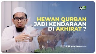 Hewan Qurban Jadi Kendaraan di Akhirat [upl. by Auburn135]