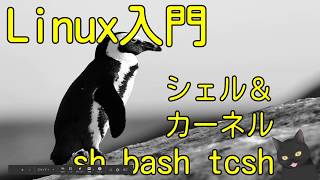 【6分で解説】Linux入門｜シェル＆カーネルを説明できますか？（sh、bash、tcsh） [upl. by Soraya]