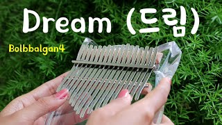 Bolbbalgan4  Dream 드림 Ost Hwarang Kalimba Cover with Tabs [upl. by Anazraf554]