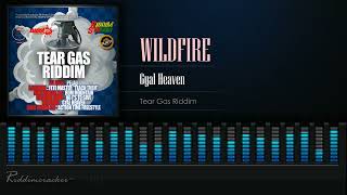 Wildfire  Gyal Heaven Tear Gas Riddim Soca 2022 HD [upl. by Hareenum]