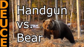 Best Pistols for Bear Attacks Using Real Life Data [upl. by Tamera]