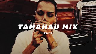 Tamahau  Rebel Musique Mix Vol 1 [upl. by Ada]