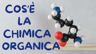 COSÈ LA CHIMICA ORGANICA [upl. by Nodnyl937]